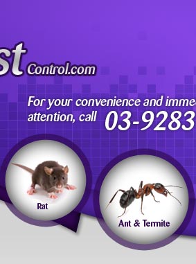 Pest control kuala lumpur